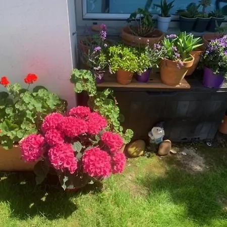 Sunny Cascais Villa *