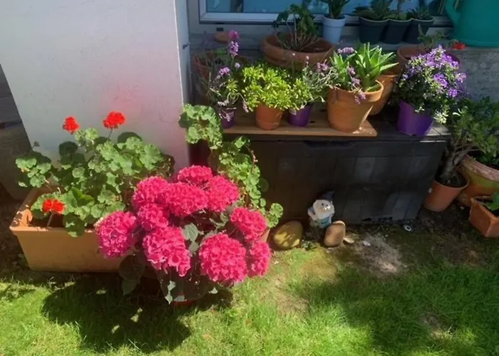 Sunny Cascais Villa *